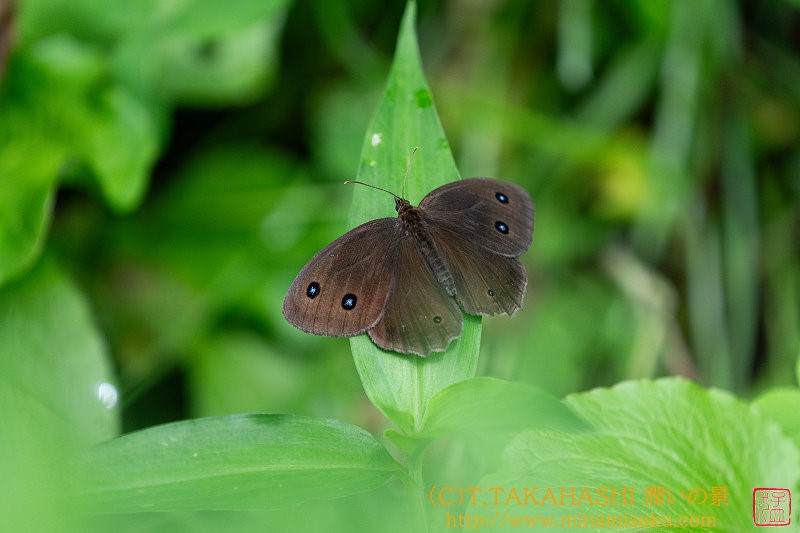 ../Images/7R240724 (18).jpg